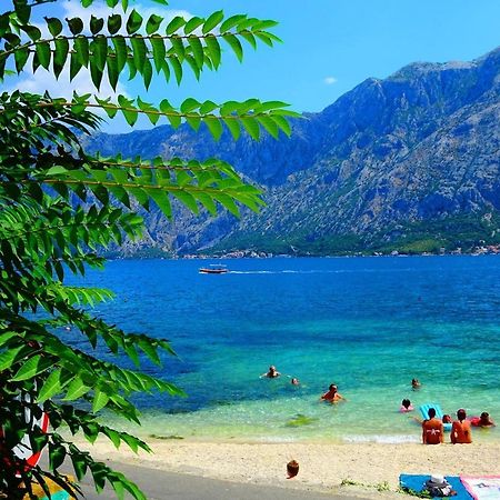 Bay Of Kotor View Apartment With Pool Prčanj Εξωτερικό φωτογραφία