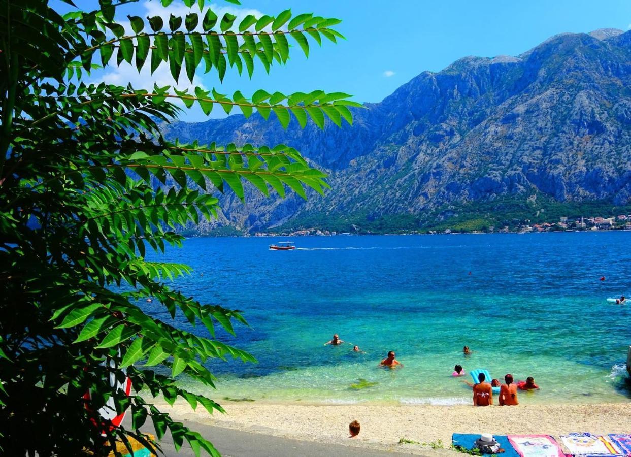 Bay Of Kotor View Apartment With Pool Prčanj Εξωτερικό φωτογραφία